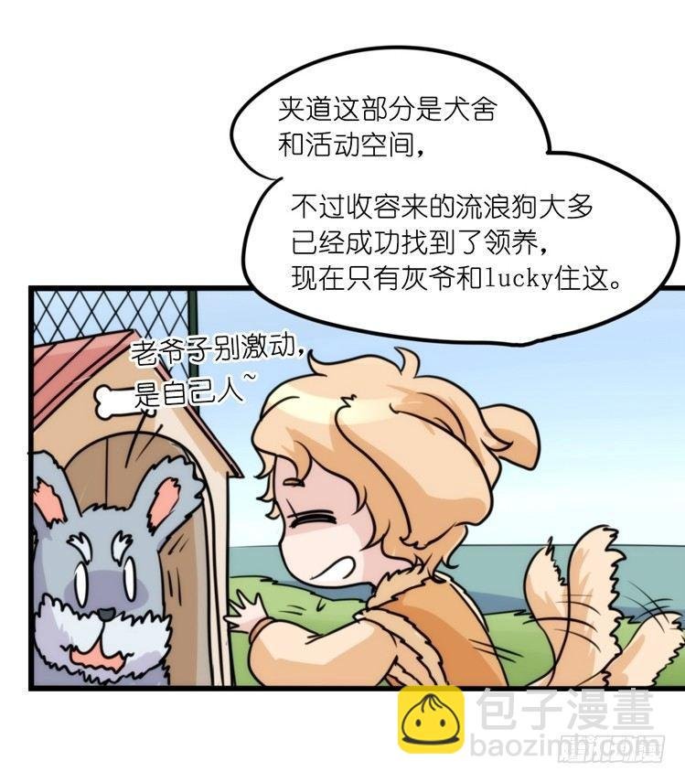 家有鹅霸：真霸霸，先包个塘