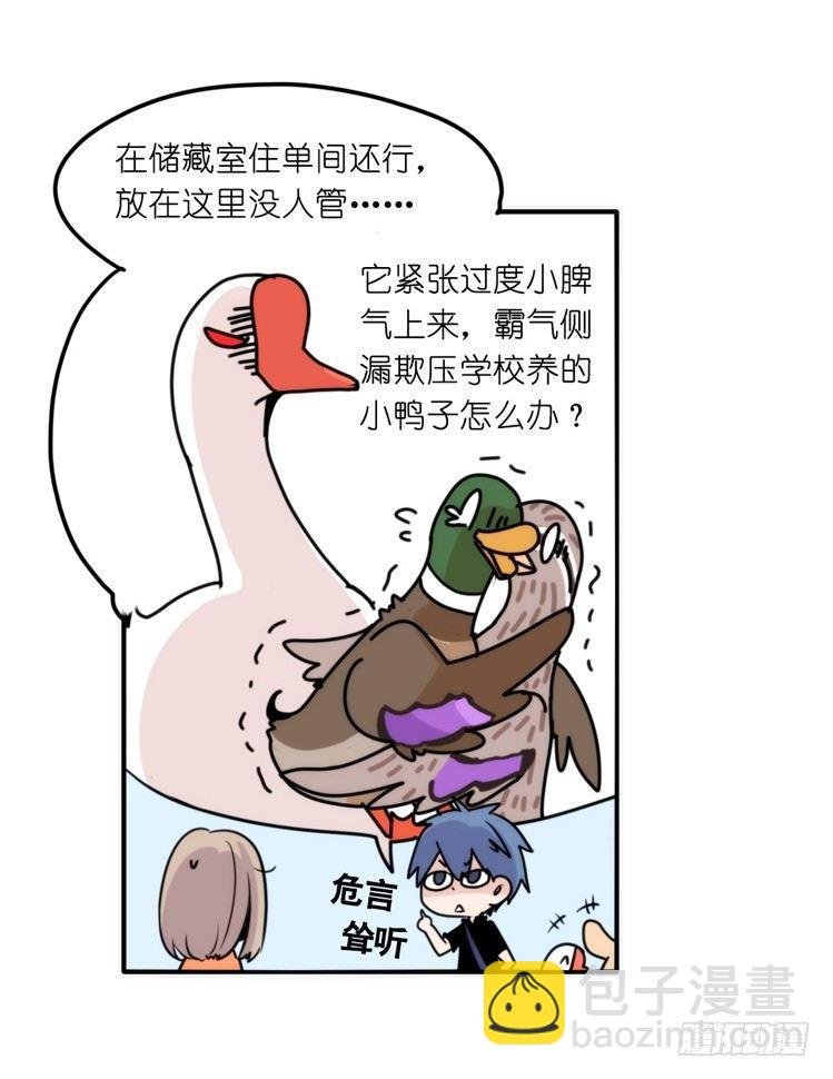 家有鹅霸：真霸霸，先包个塘