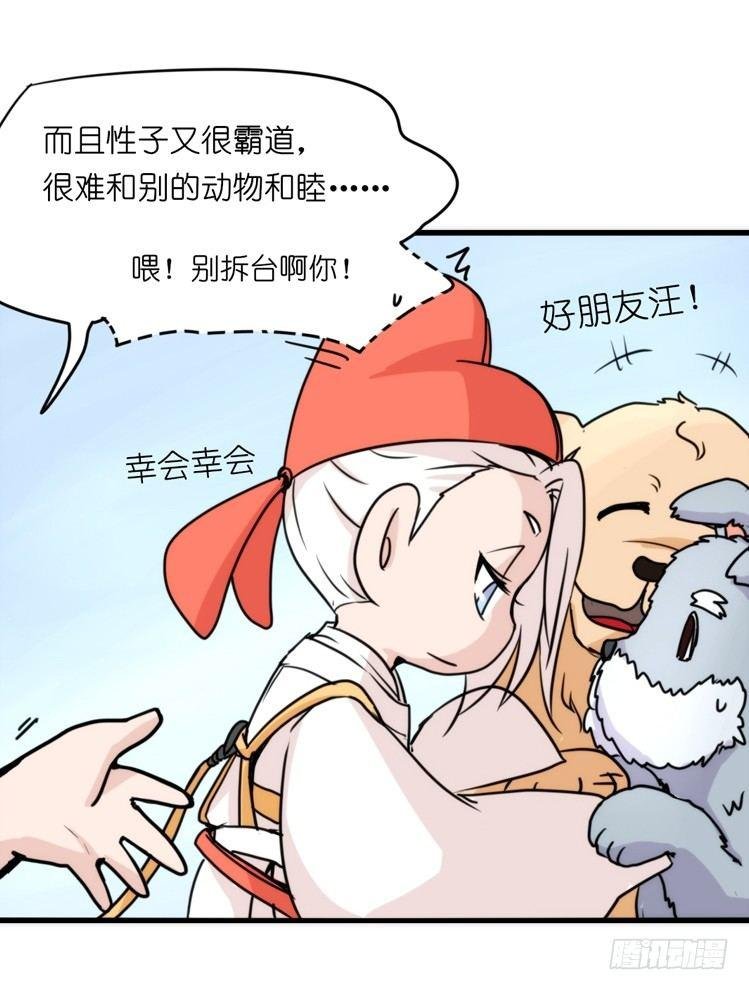 家有鹅霸：真霸霸，先包个塘