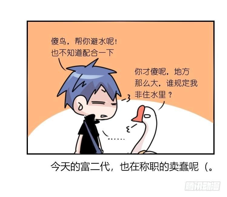 家有鹅霸：真霸霸，先包个塘