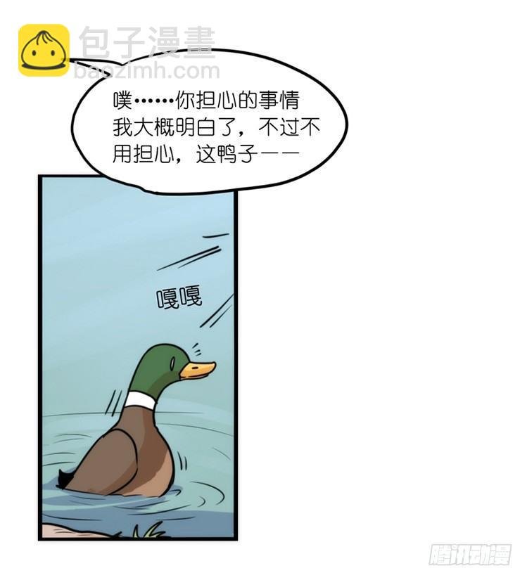 家有鹅霸：真霸霸，先包个塘