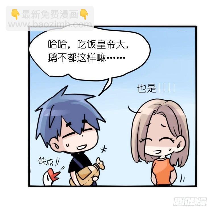 家有鹅霸：校方认证彩虹风景线