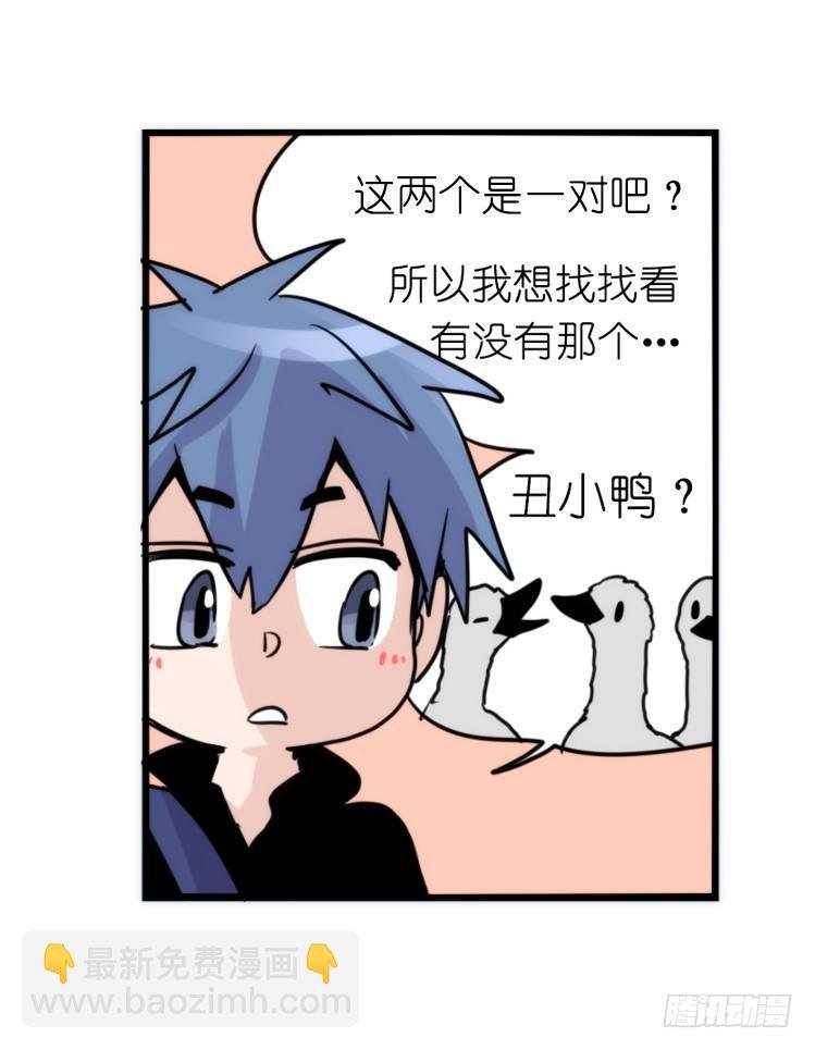 家有鹅霸：校方认证彩虹风景线