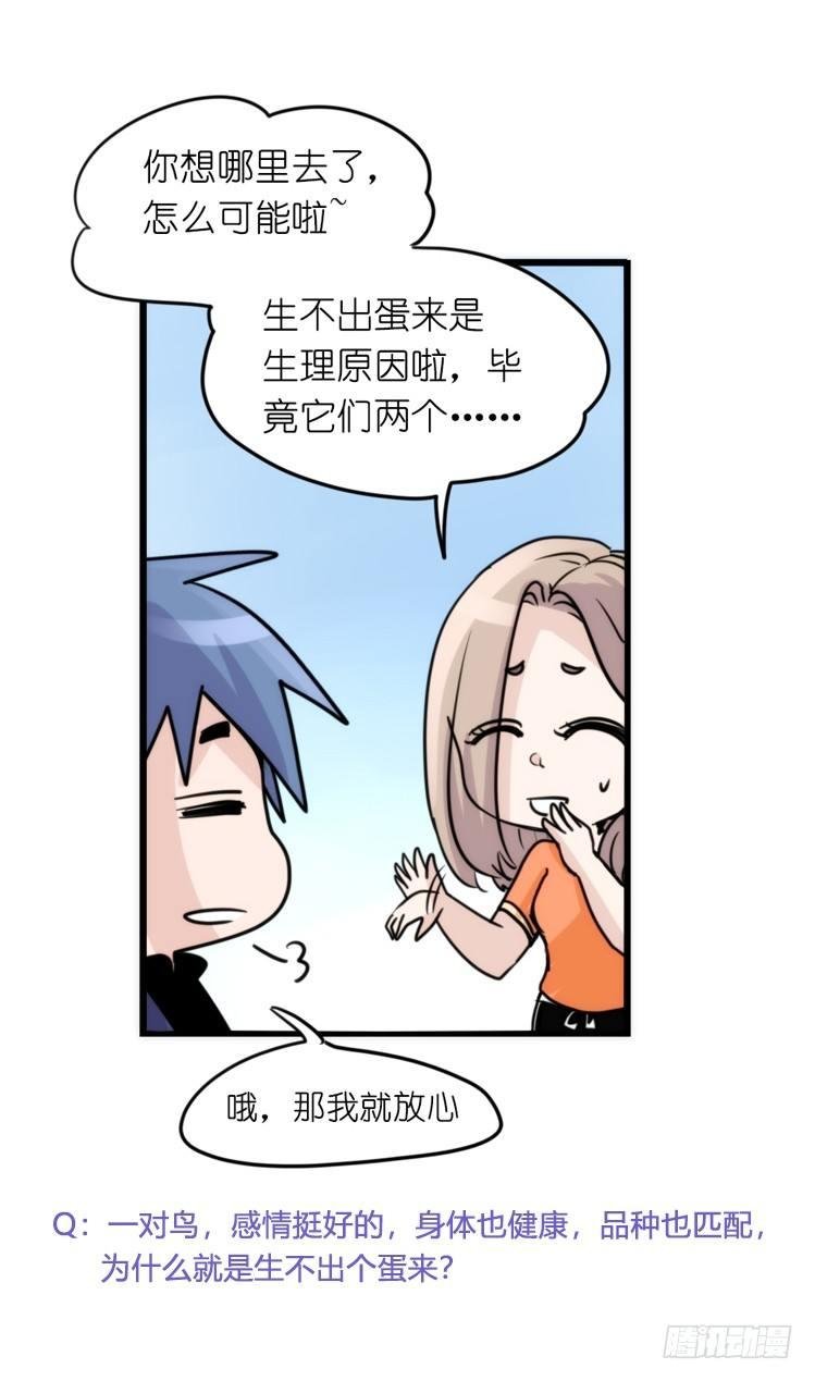 家有鹅霸：校方认证彩虹风景线