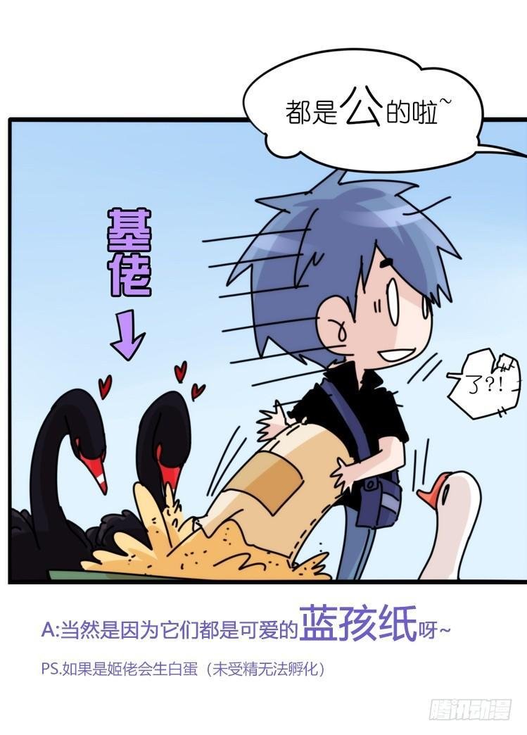 家有鹅霸：校方认证彩虹风景线