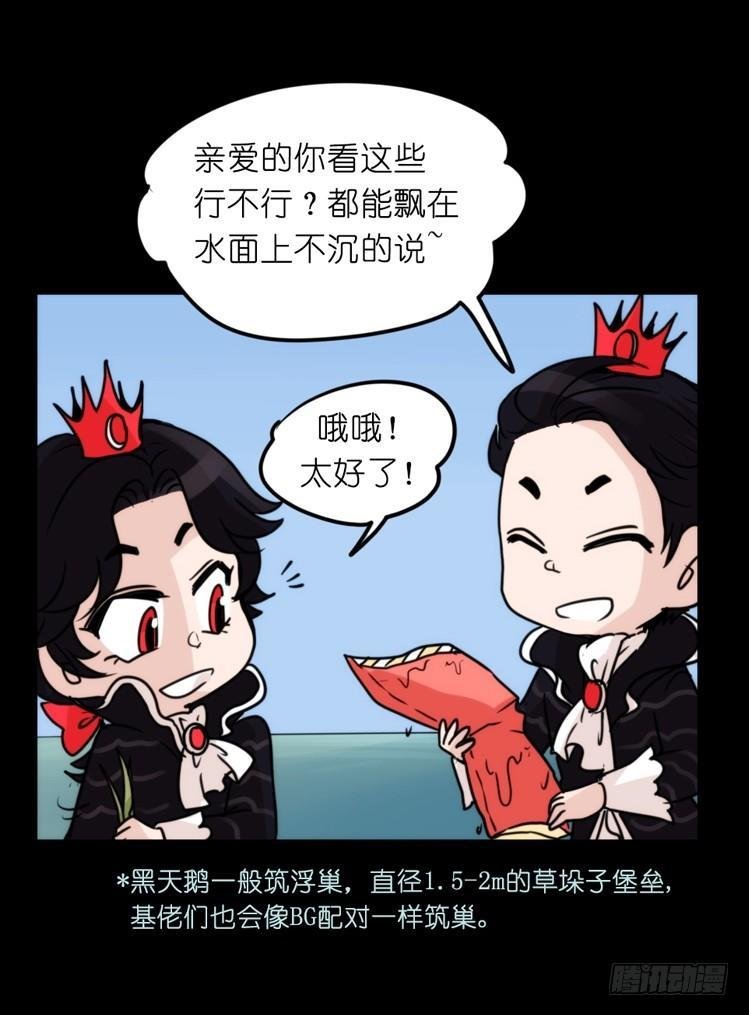 家有鹅霸：校方认证彩虹风景线