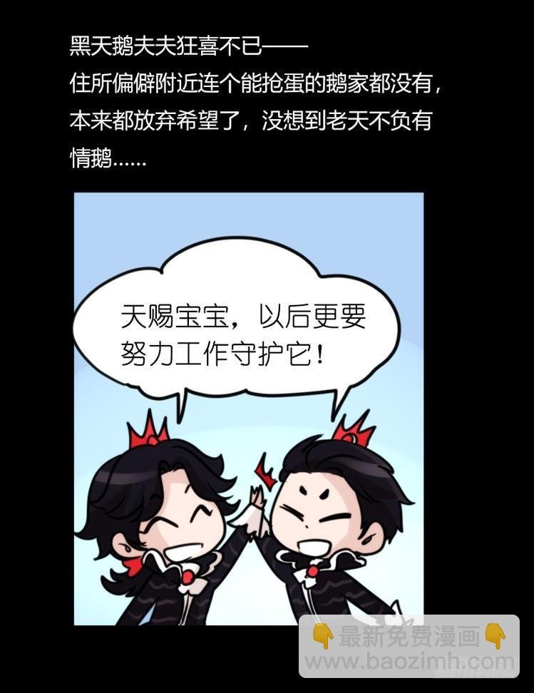 家有鹅霸：校方认证彩虹风景线