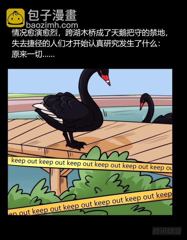 家有鹅霸：校方认证彩虹风景线