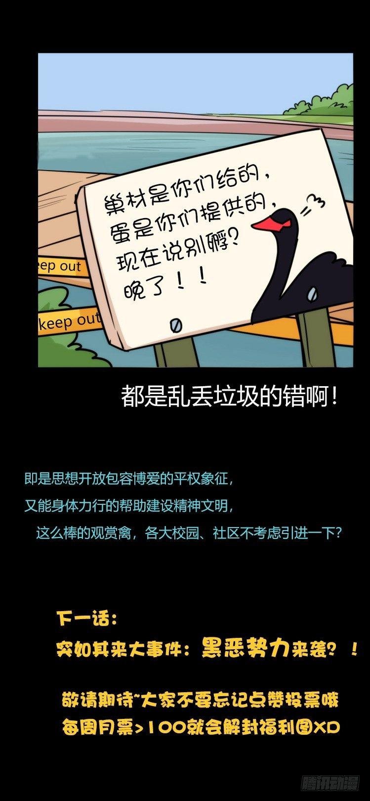 家有鹅霸：校方认证彩虹风景线