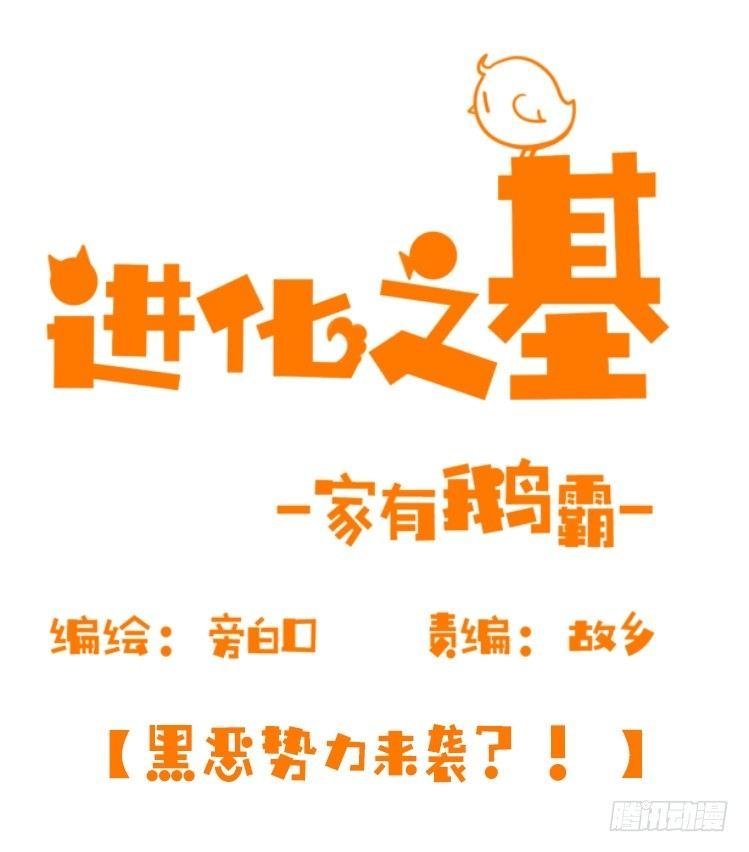 家有鹅霸：黑恶势力来袭？！
