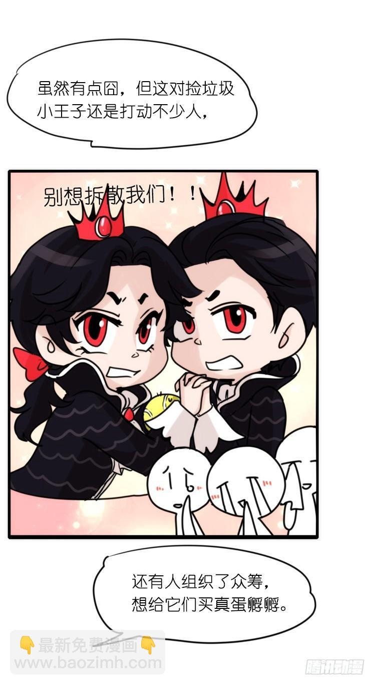 家有鹅霸：黑恶势力来袭？！