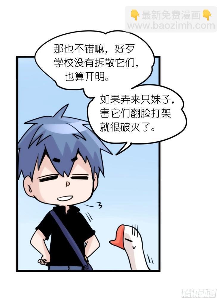 家有鹅霸：黑恶势力来袭？！