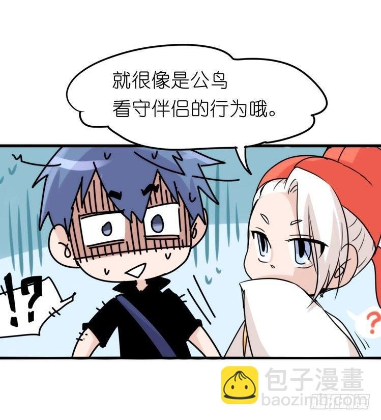 家有鹅霸：黑恶势力来袭？！