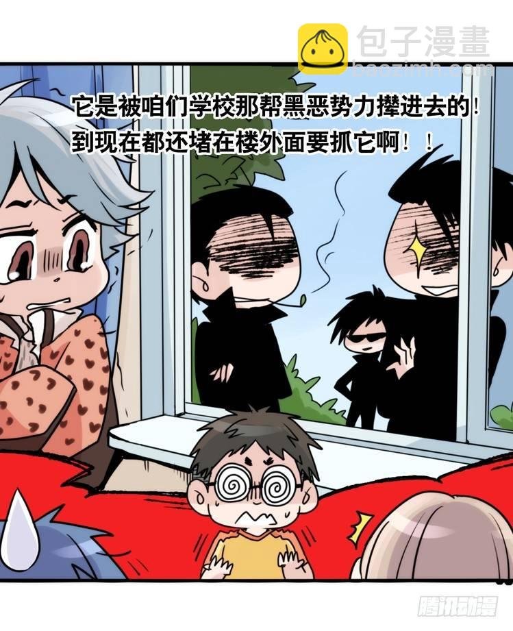 家有鹅霸：黑恶势力来袭？！