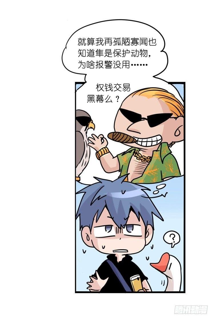 家有鹅霸：黑恶势力来袭？！