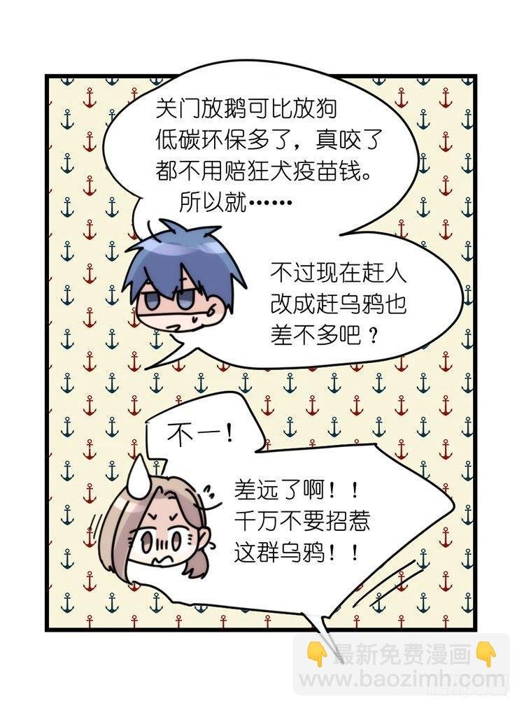 家有鹅霸：霸系鸟类巅峰对决