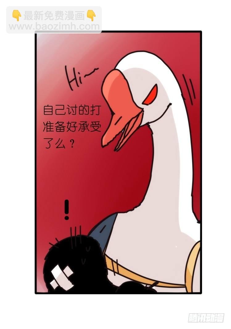家有鹅霸：霸系鸟类巅峰对决