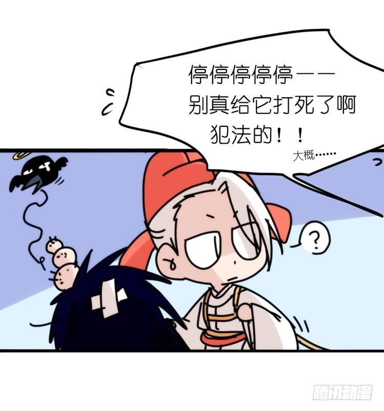 家有鹅霸：霸系鸟类巅峰对决