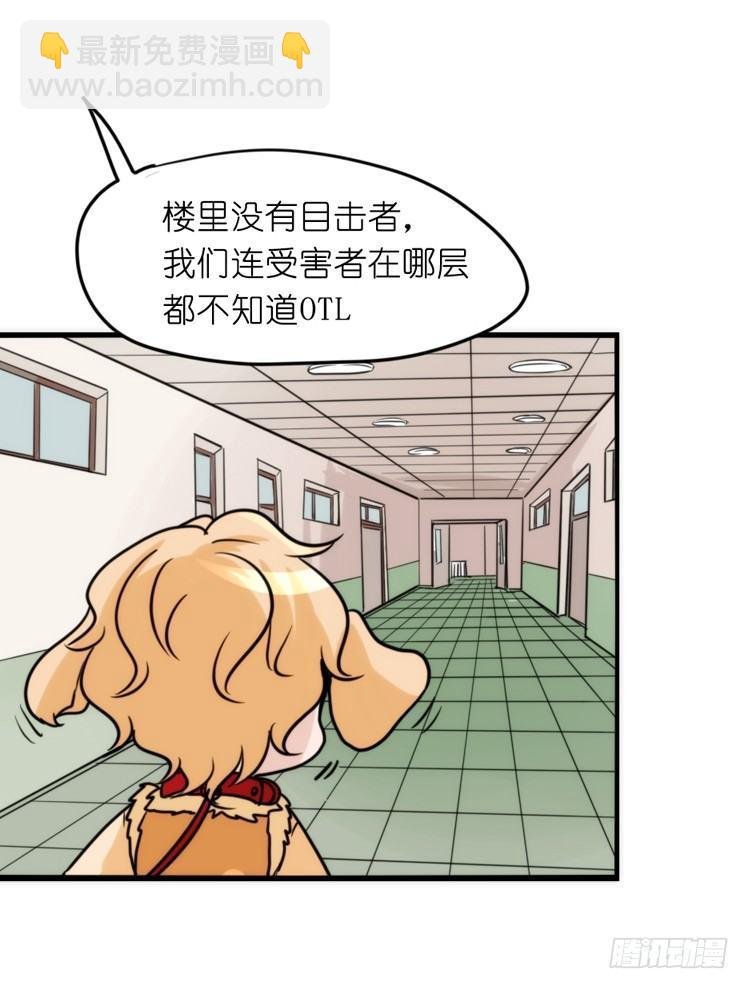 家有鹅霸：拯救大兵红隼