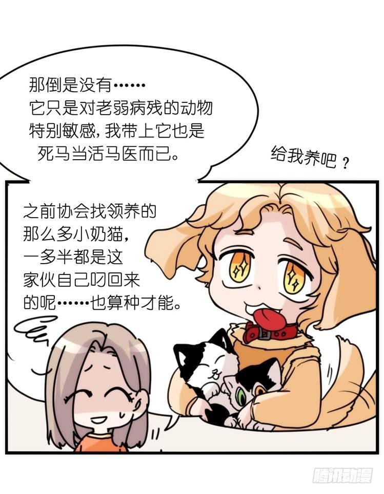家有鹅霸：拯救大兵红隼