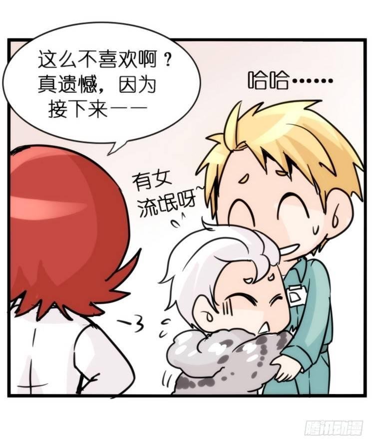 飞吧小少爷：长大成鸟之后…