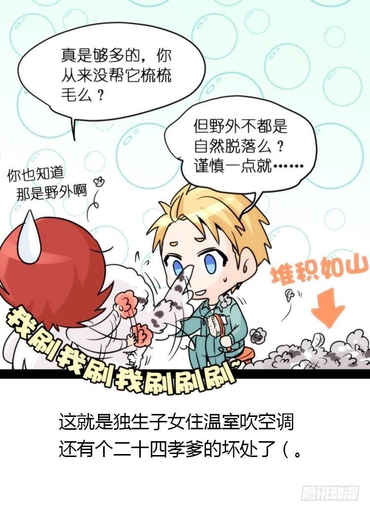 飞吧小少爷：长大成鸟之后…