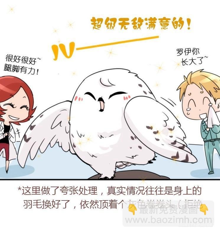 飞吧小少爷：长大成鸟之后…
