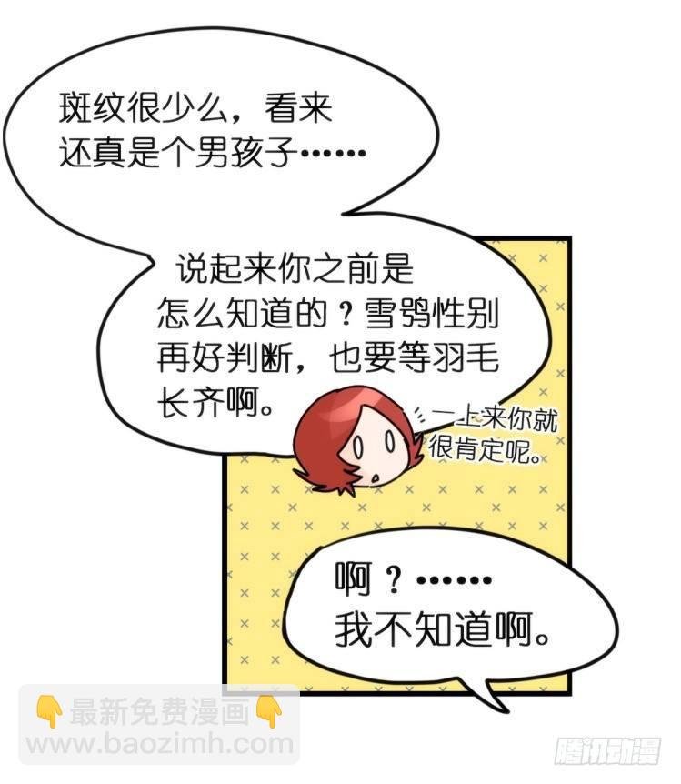 飞吧小少爷：长大成鸟之后…