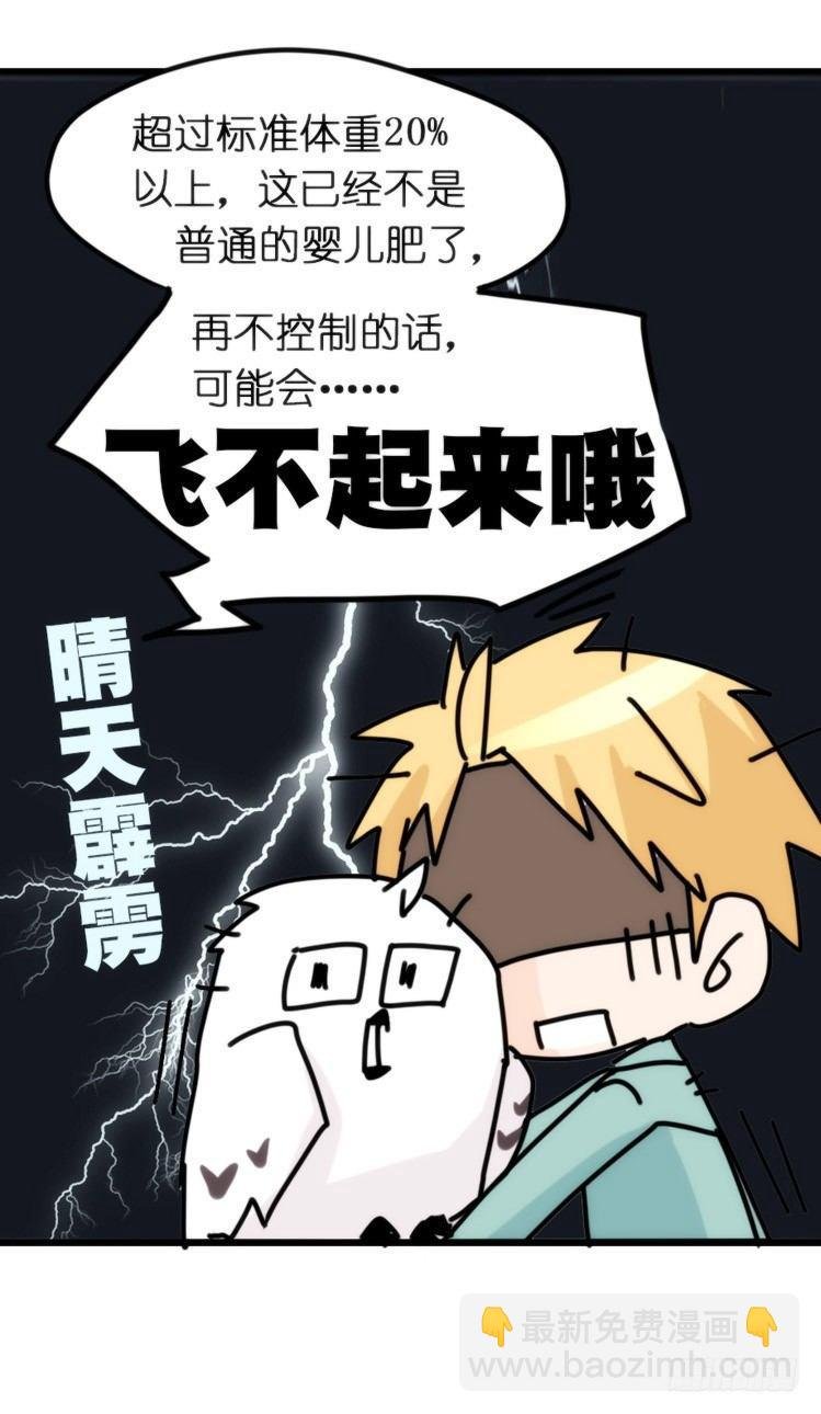 飞吧小少爷：长大成鸟之后…