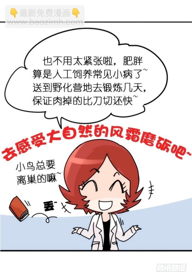 飞吧小少爷：长大成鸟之后…