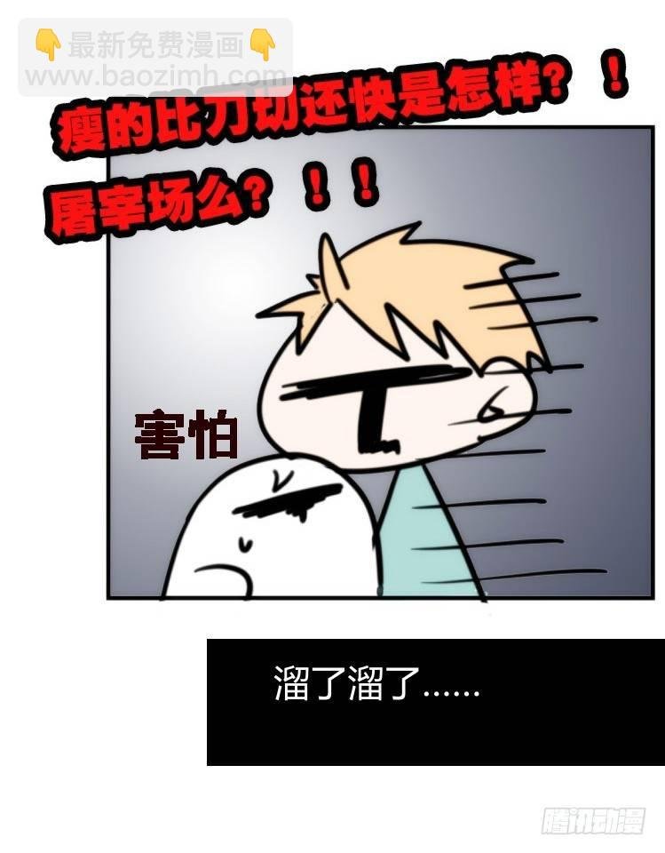 飞吧小少爷：长大成鸟之后…