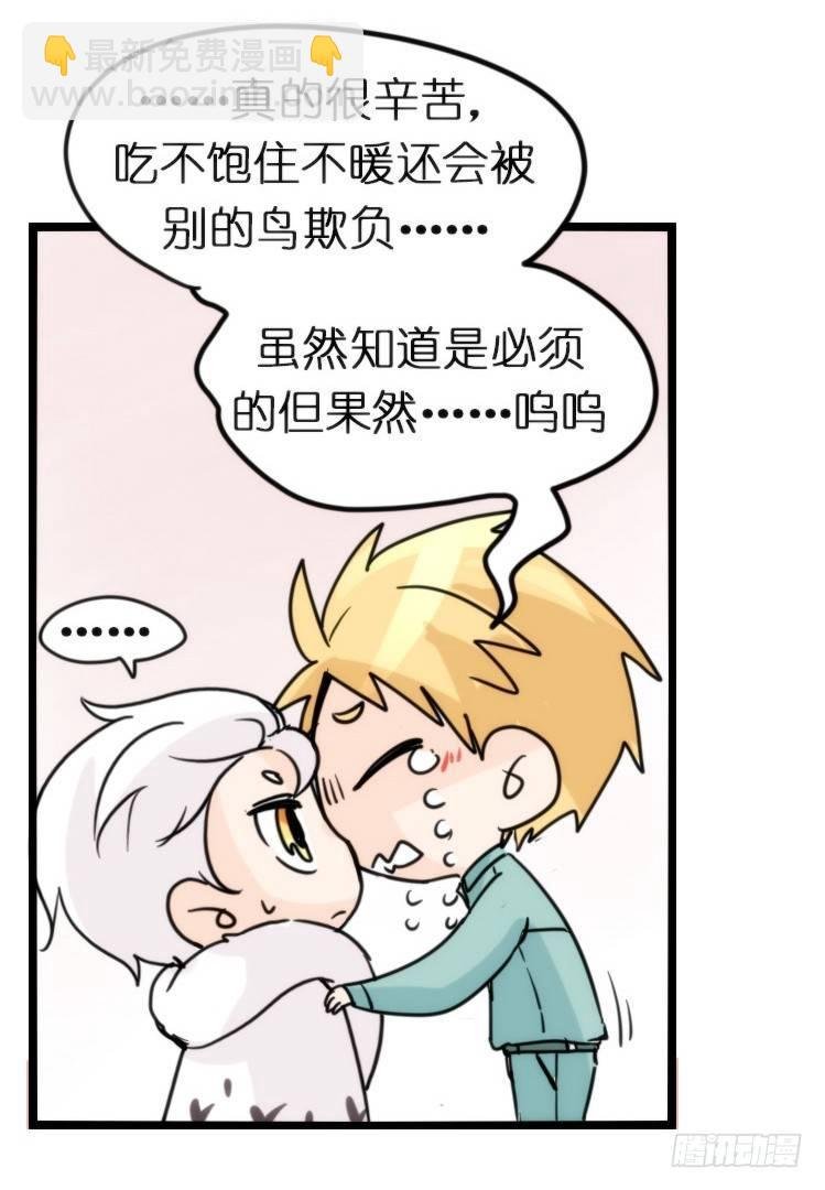 飞吧小少爷：长大成鸟之后…