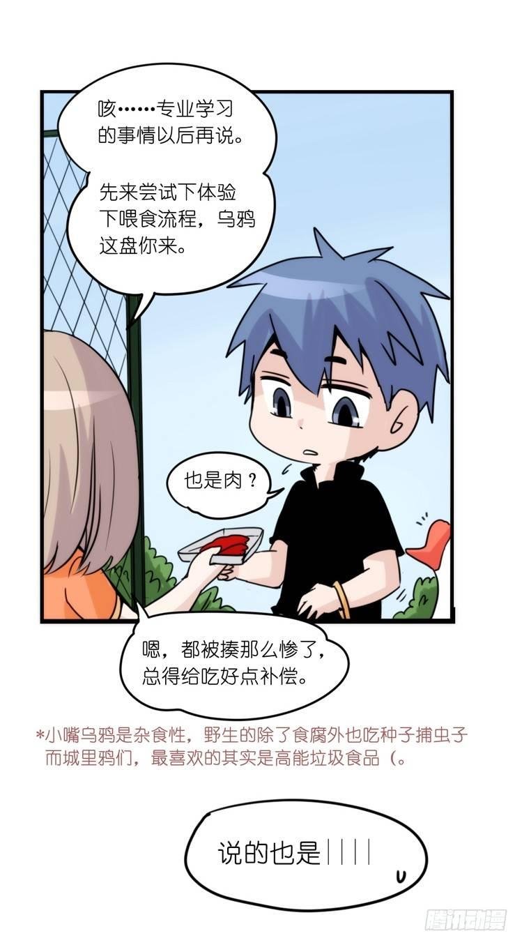 家有鹅霸：魔高一尺道高一丈