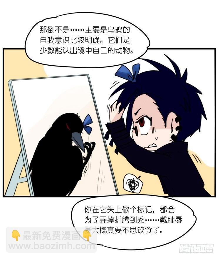 家有鹅霸：魔高一尺道高一丈