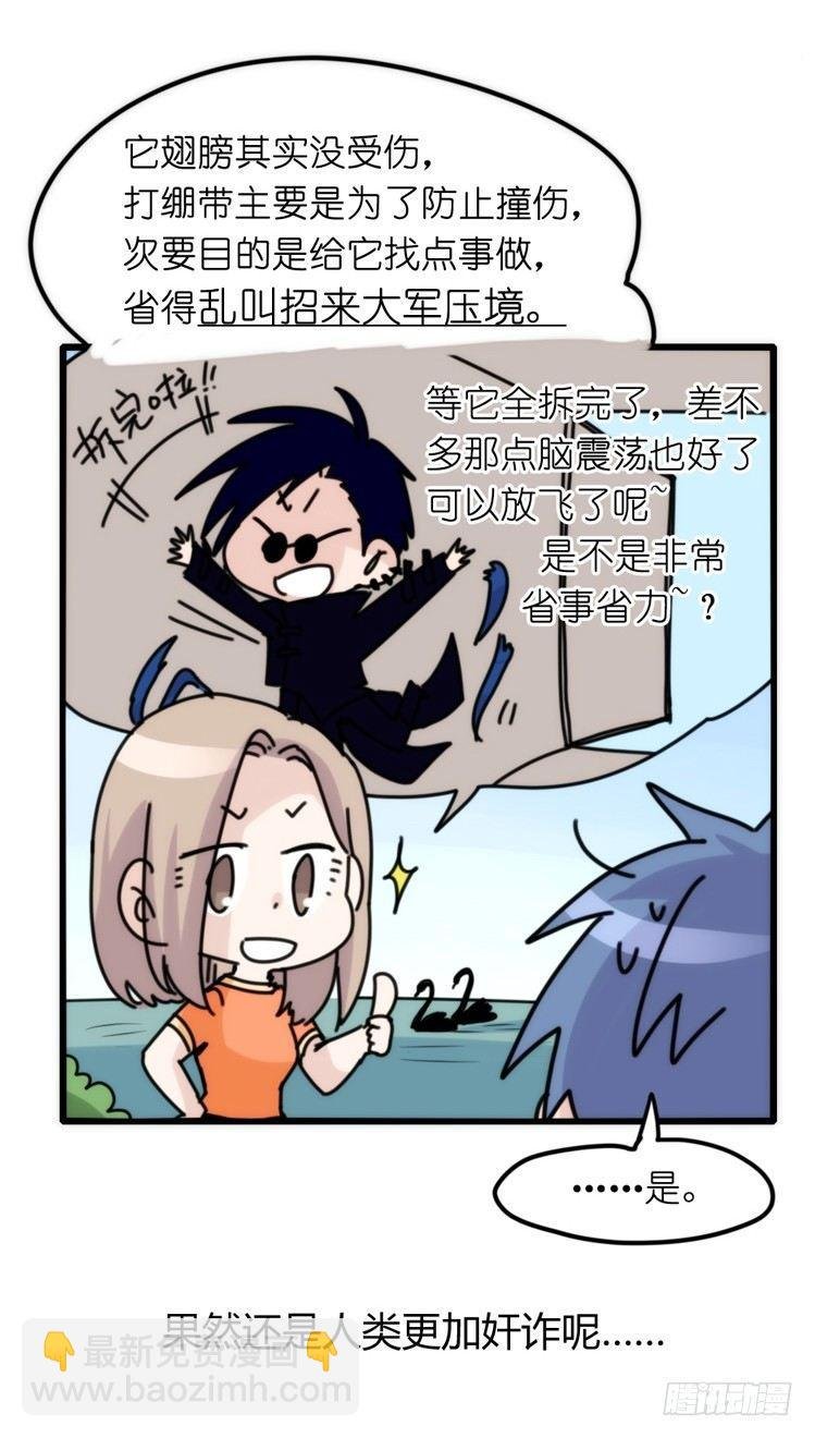 家有鹅霸：魔高一尺道高一丈
