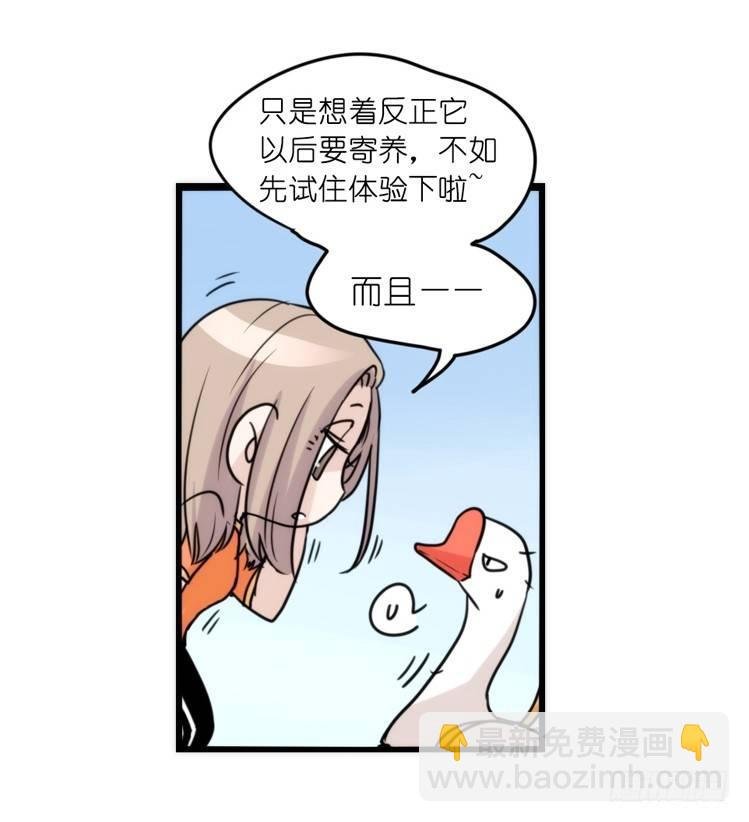 家有鹅霸：魔高一尺道高一丈