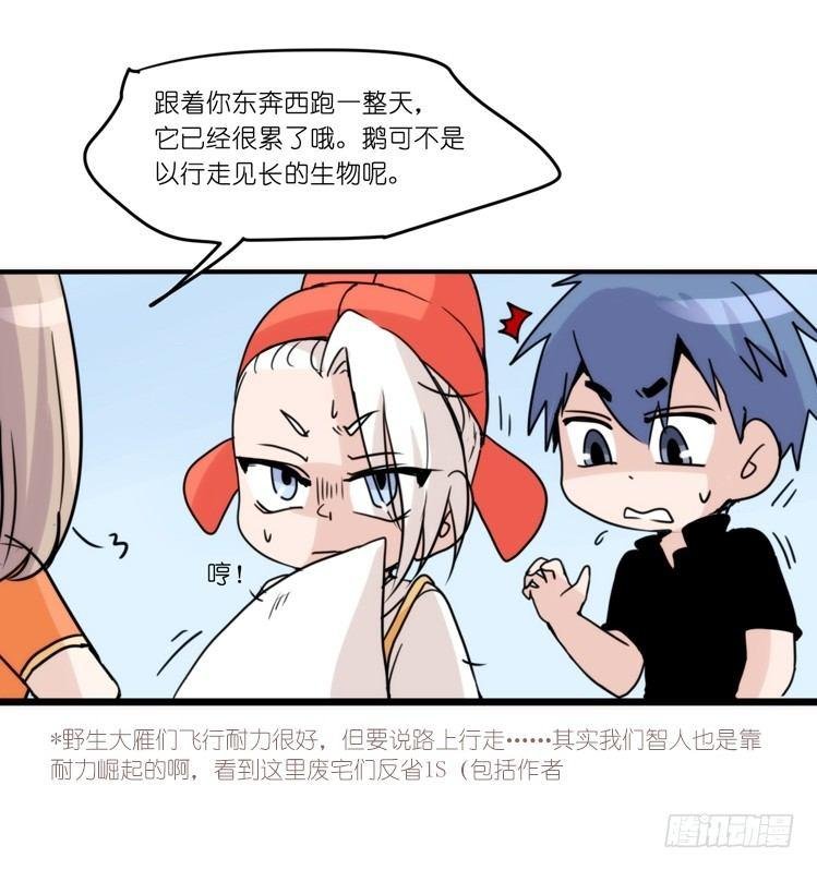 家有鹅霸：魔高一尺道高一丈