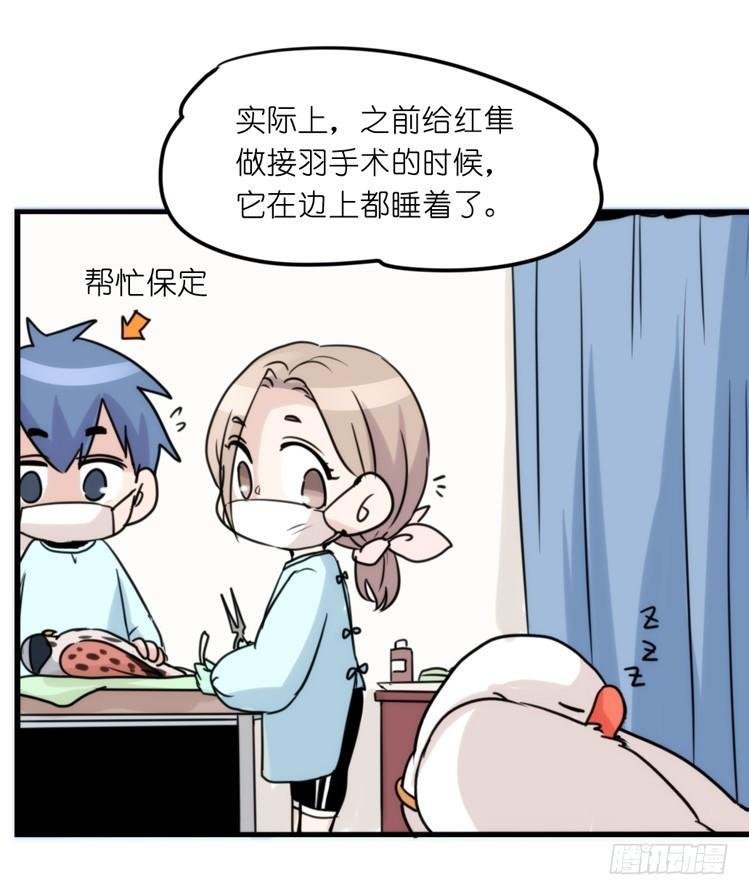 家有鹅霸：魔高一尺道高一丈