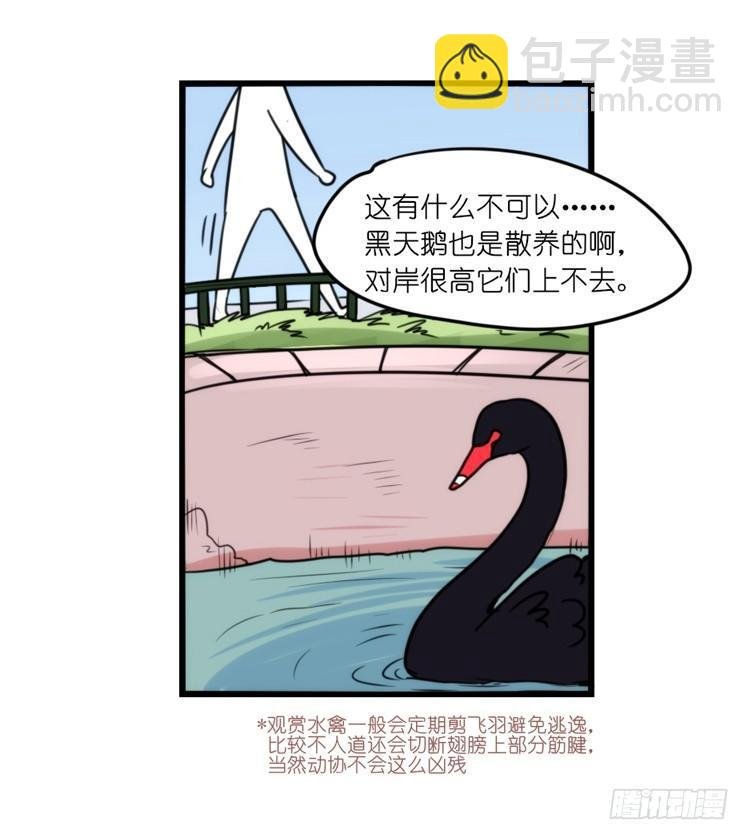 家有鹅霸：人类离开之后……