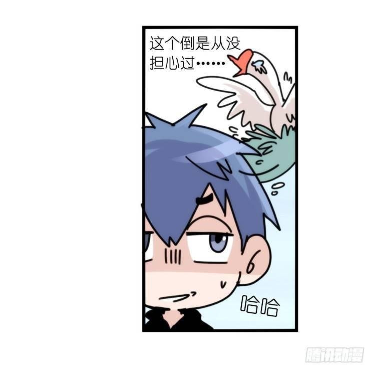 家有鹅霸：人类离开之后……