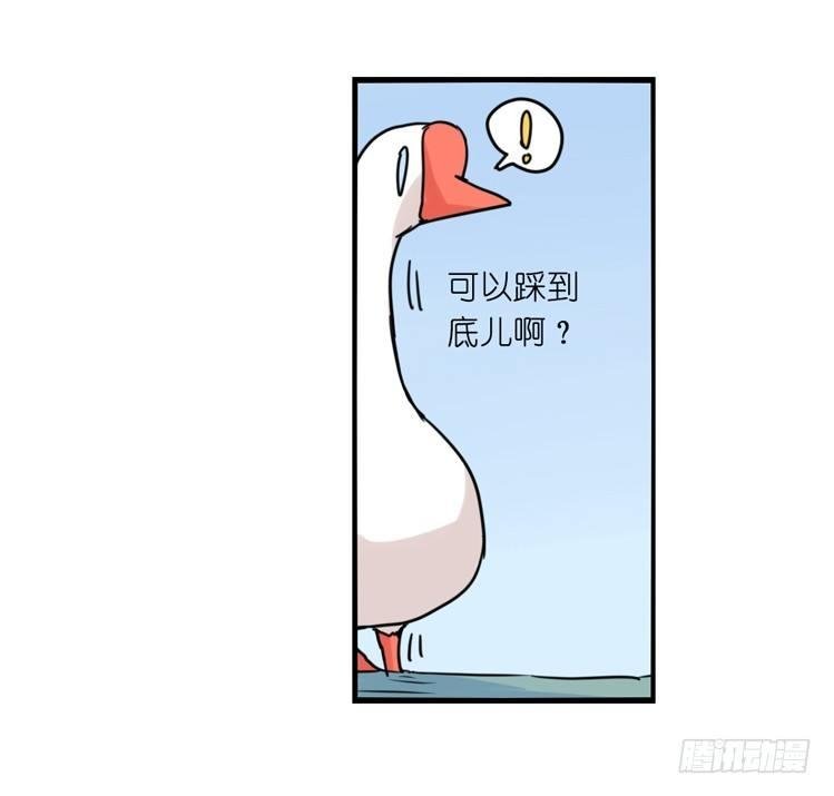 家有鹅霸：人类离开之后……