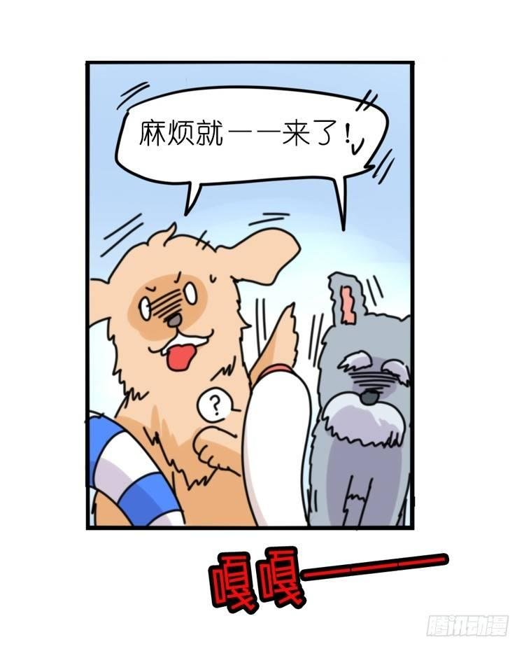 家有鹅霸：人类离开之后……