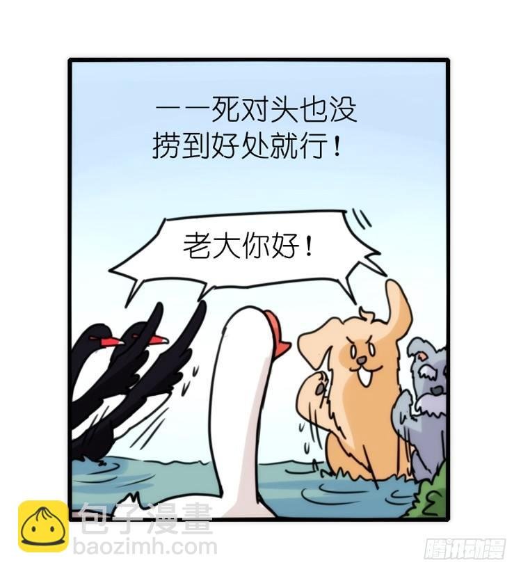 家有鹅霸：就这样被你征服~