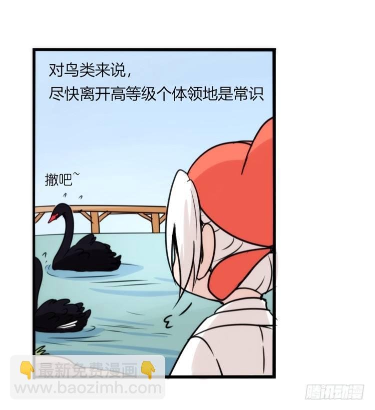 家有鹅霸：就这样被你征服~