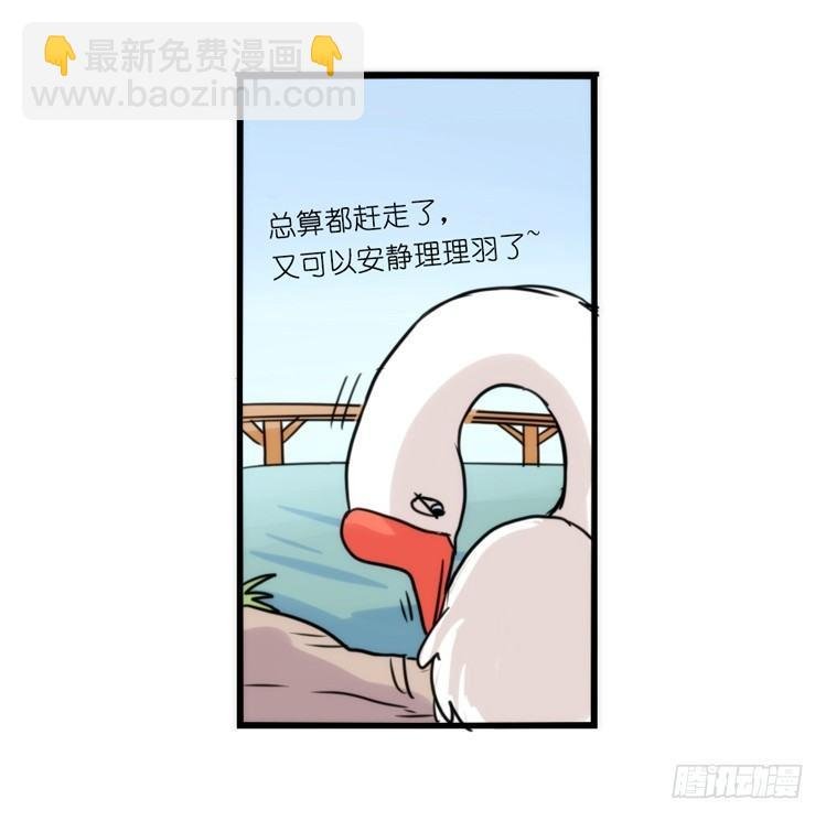 家有鹅霸：就这样被你征服~