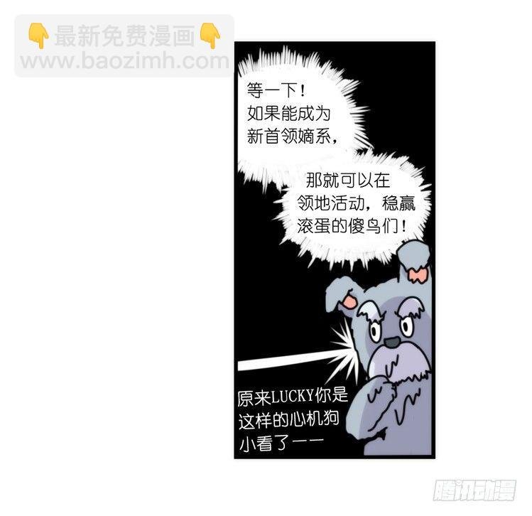 家有鹅霸：就这样被你征服~