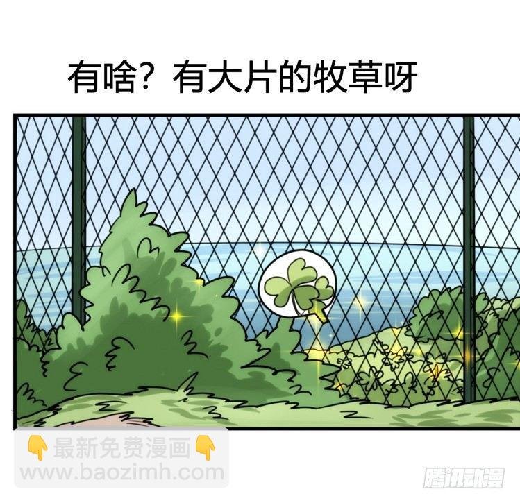 家有鹅霸：就这样被你征服~