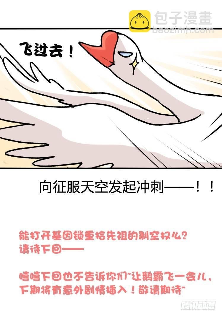 家有鹅霸：就这样被你征服~