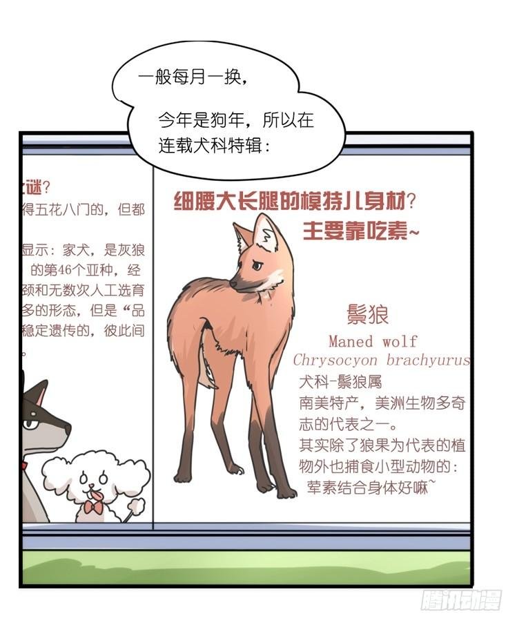 家有鹅霸：转场茶话会
