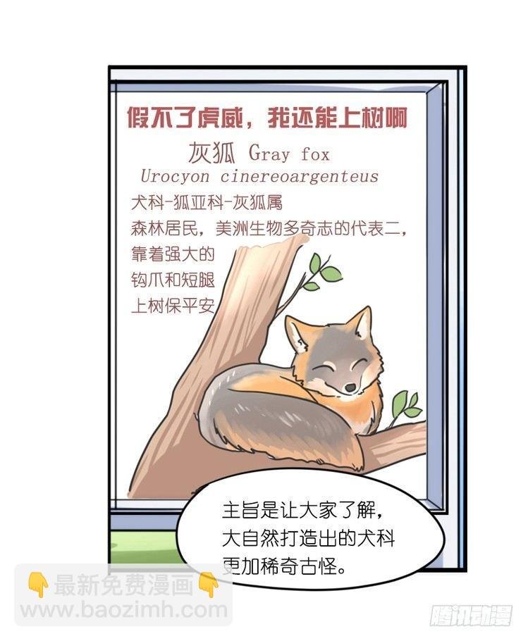 家有鹅霸：转场茶话会